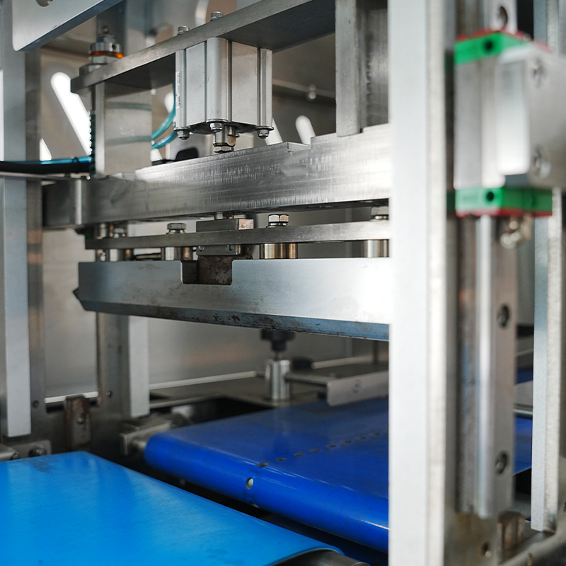 Fully-auto Motion Type Flow Packing Machine Fully-auto Motion Type Flow Packing Machine