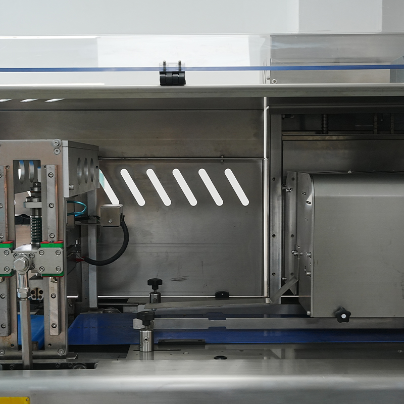 Fully-auto Motion Type Flow Packing Machine Fully-auto Motion Type Flow Packing Machine